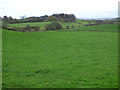 Farmland near Barfillan Farm in PA6 7HY