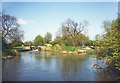Downstream of Rushes Lock in CM3 4BZ