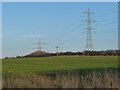 Power lines crossing farmland, north of Antelope Lodge in TS8 0AX