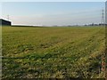 Farmland called Low Fields in TS9 5ND