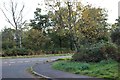 Rectory Lane at the junction of the A3 in GU30 7QZ