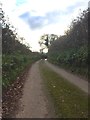 Farm track in SA32 8PR