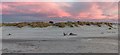 Nairn East Beach Sunset in IV12 5BY