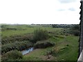 Bird feeders at WWT Welney Wetland Centre in CB6 1UG