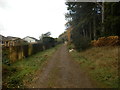 Woodland path on edge of Culloden Wood in Cradlehall