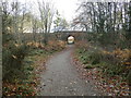 Woodland path in Culloden Wood in IV1 2ZB