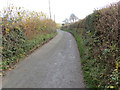 Hedge-lined minor road approaching Hen-efail in LL16 4RS