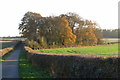Lodge Road bridleway in Little Houghton