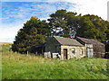 Farm buildings near Poperd Hill in DL13 1EX