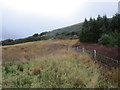 Woodland and rough grazing near Auchengaich in G84 8YT