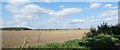 Flat landscape north of Stoke Ferry in PE33 9TA