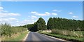 A shelter belt by the road north of Stoke Ferry in PE33 9TA