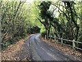 Long Wood and Broxmead Lane in Cuckfield, Bolney & Ansty Ward