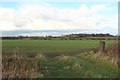 Farmland between Shiremoor and South Wellfield in NE27 0UE