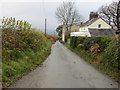 Hedged minor road at Bryntirion Cottage in LL16 4HU
