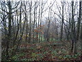 Woodland off the A660 roundabout in LS21 1DX
