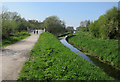 Cyclepath through Ham Wall RSPB in BA16 9SE