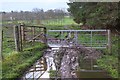Mud by the gate near Hillridge in ML12 6NP