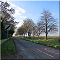 Litlington: the road to Steeple Morden in SG8 0QL