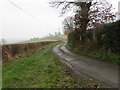 Hedge lined minor road heading towards Ffolt in LL16 4TE