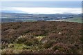 Summit of Fala Knowe in EH26 9LF