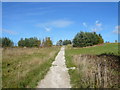 Holmebrook Valley Park - Footpath and Steps to Lake in S40 4UZ