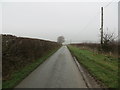 Hedged minor road heading towards Bryn Golau in LL16 5RF