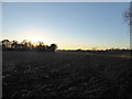 Sunset over a ploughed field in Barham