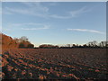 Ploughed field in Barham in Barham