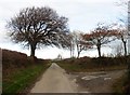 Junction on Burcombe Hill in EX36 3HG