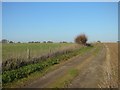 Farmland and bridleway at Stanmore, Beedon in RG20 8SR