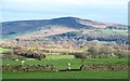 Sheep pastures above Addingham in LS29 0LB