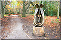 Wood Sculpture, Burnham Beeches in SL2 3EN