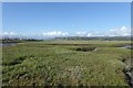 Saltmarsh and estuary in LL45 2EJ
