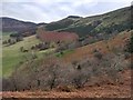 Looking across the upper valley in Penmaenmawr Community