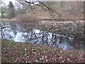 Pond near Hope Bowdler in SY6 7EX