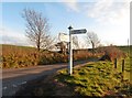 Popham Cross in EX36 3EU
