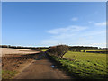 Lane to Green Hill which can be seen on the horizon in PE32 1QF