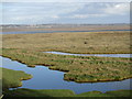 Morfa heli ar Lannau Dyfrdwy / Saltmarsh on Deeside in CH6 6HF