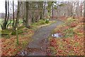 Path in Lowrie's Den in EH26 9LG