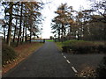 The entrance roadway to King's Lynn crematorium in PE32 1EU