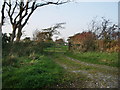 Track to The Hill Farm in Holme Abbey
