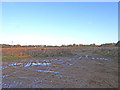 Farmland at Leziate off Holthouse Lane in Leziate
