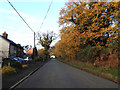 Houses along Brow of the Hill and autumnal oak trees in PE32 1EN