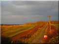 Farm track late on a winter's afternoon in DG11 3LE