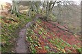 Woodland path above the Silver Burn in EH26 9LG