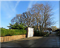 Duxford: bare branches, Temple Close in CB10 1RF