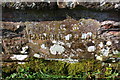 Bridge name/date stone for Barngill Bridge in CA28 6RX