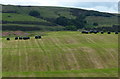 Farmland and bales near Newton Hill in DD6 8PH