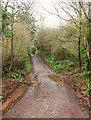 Lane in the Doniford Stream valley in TA4 3TT
